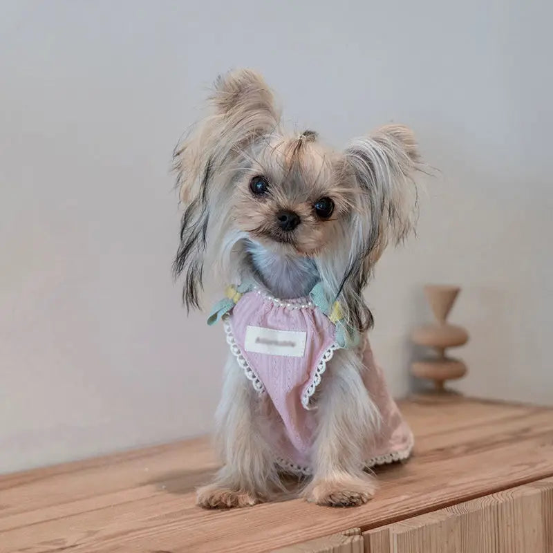 Pet Spring and Autumn Ice Cream Sleepwear Small Dog Teddy Clothing