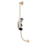 Diy Cat Wall Climbing Shelves Hammock Scratching Post Scratcher