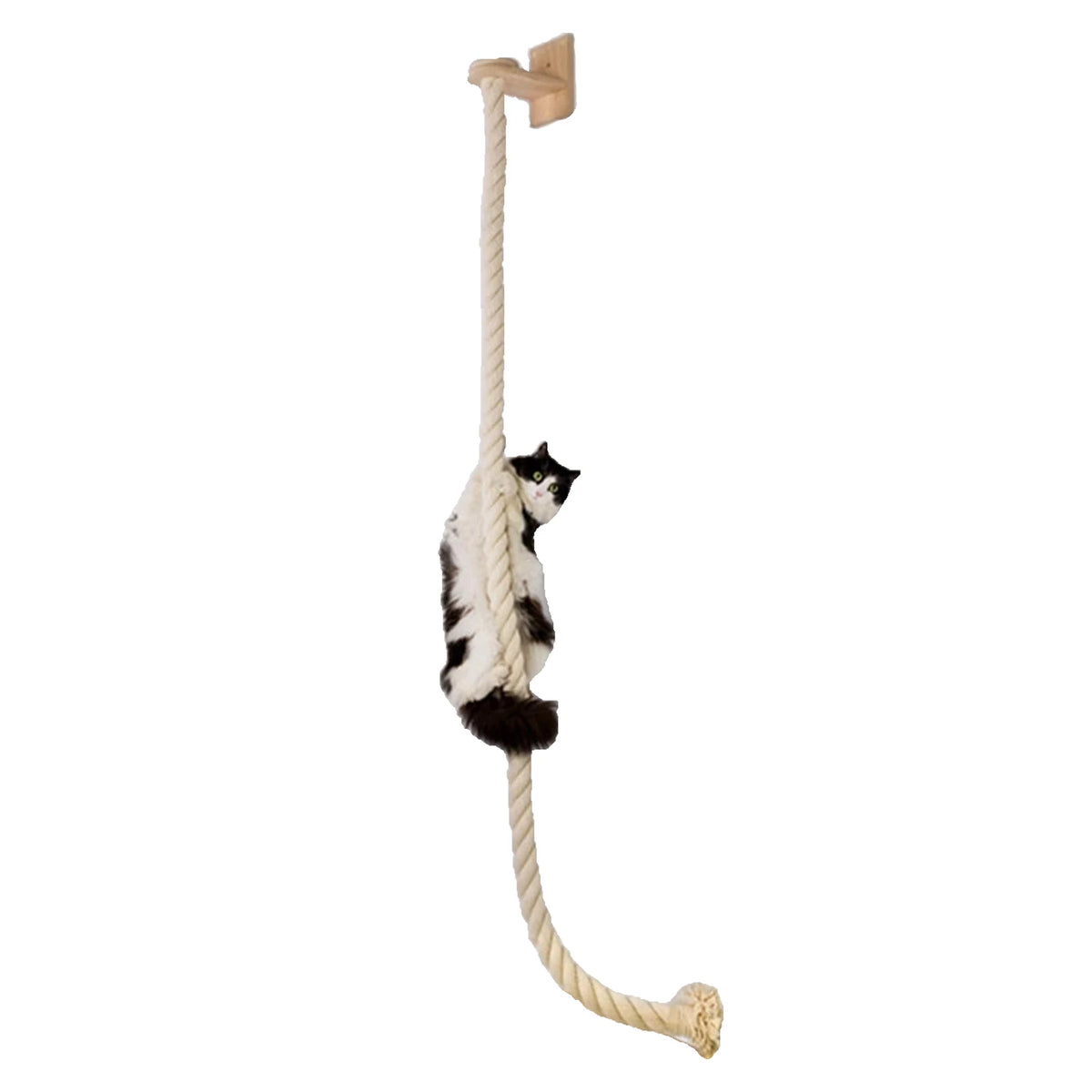 Diy Cat Wall Climbing Shelves Hammock Scratching Post Scratcher