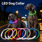 Luminous Pet Dog Collar Waterproof LED Dog Collar Rechargeable