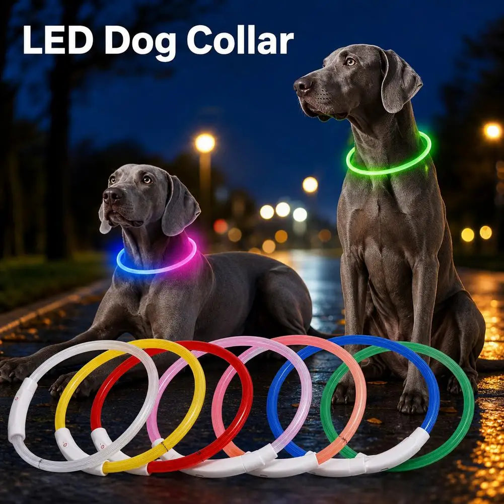 Luminous Pet Dog Collar Waterproof LED Dog Collar Rechargeable