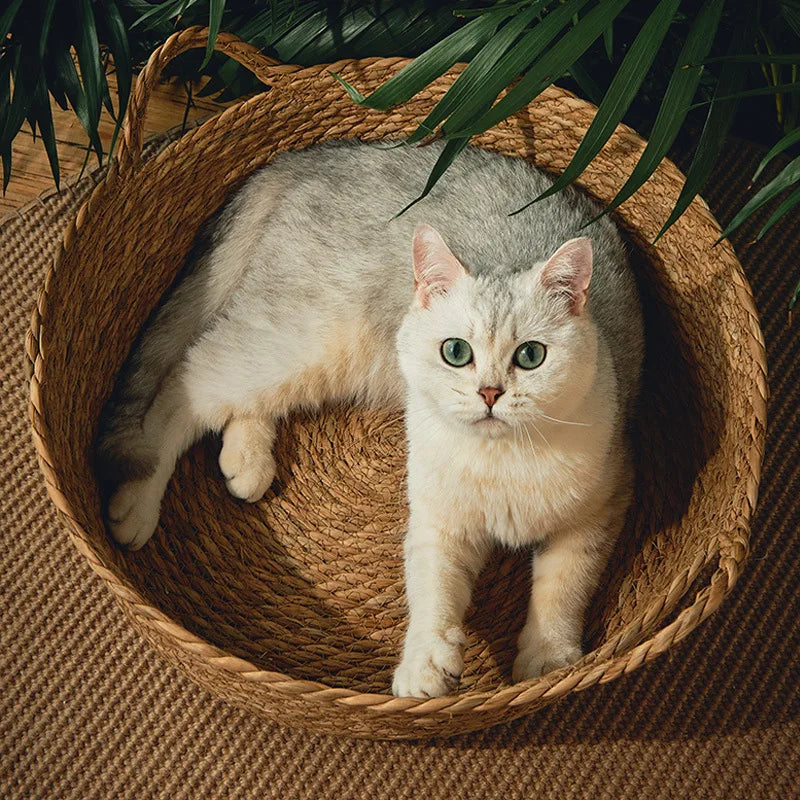 Ouzey Rattan Weaving Basket For Cat Comfortable Sleeping Pet Dog