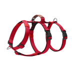 No-PUll Dog Harness for Large Dogs Outdoor Training