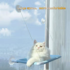 20Kg Capacity Cat Hammock with Rock Climbing Frame Comfortable