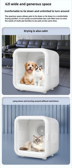 Fully Automatic Smart Pet Drying Box Large Capacity Pet Smart