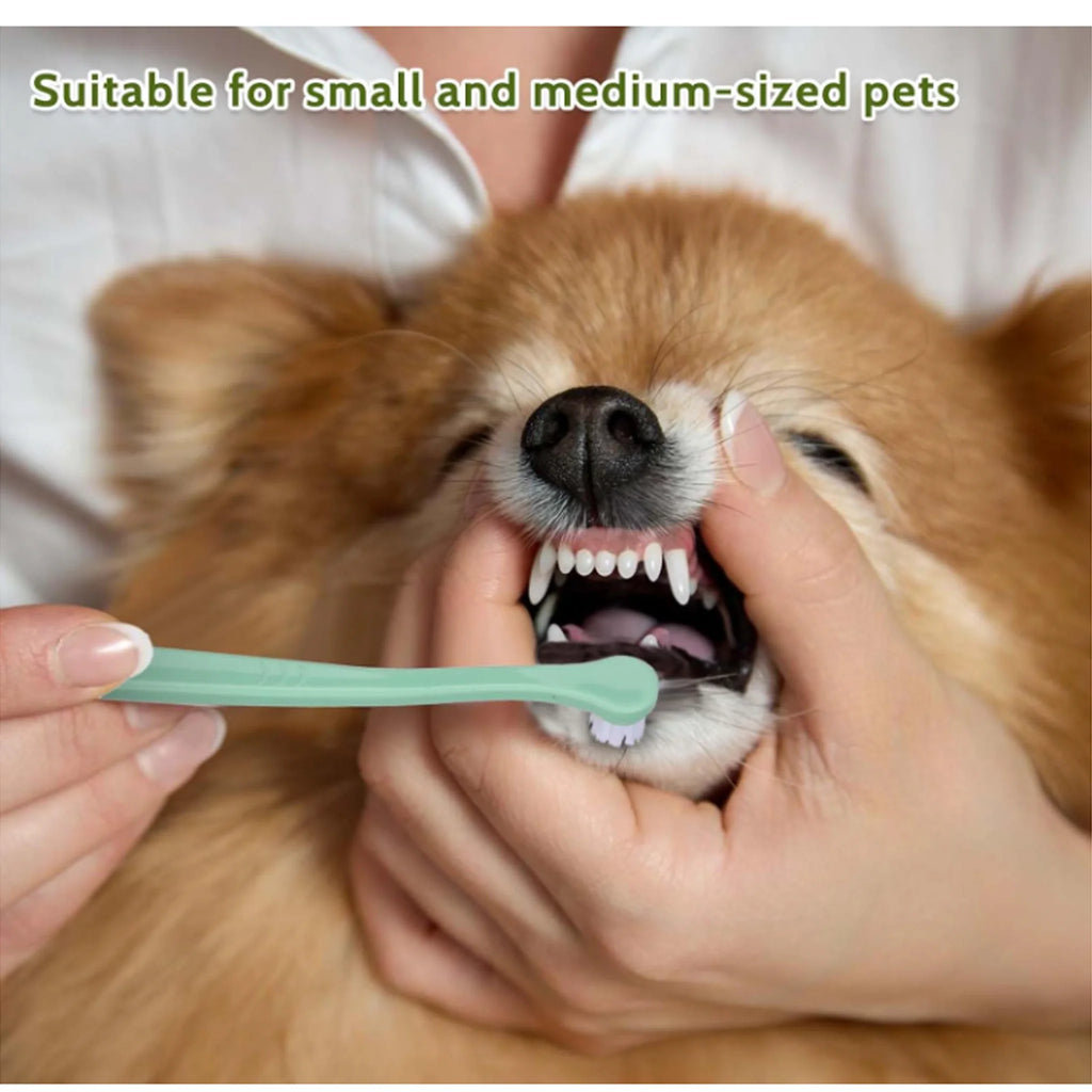 3 Pcs Pet Toothbrush Soft-bristled Toothbrush Designed For Easy Cleaning Teeth Of Cats & Dogs Suitable Small To Large Dogs, Cats