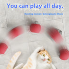 New Electric Cat Ball Toys Automatic Rolling Ball with Teaser Bird