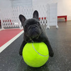 7/8/9. Dog Tennis Ball Giant Pet Toys for Dog Chewing Toy