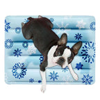 Dog Cooling Mat 30X40Cm Ice Bed Soft Reusable Floor Cushion Summer