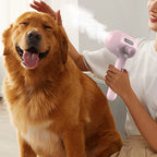 Steamy Dog Brush Electric Spray Cat Hair Brush 3 In1 Dog Steamer