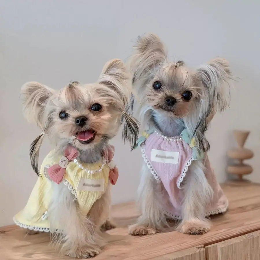 Pet Spring and Autumn Ice Cream Sleepwear Small Dog Teddy Clothing