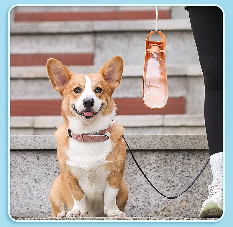 Portable Dog Water Bottle For Small Large Dogs Foldable