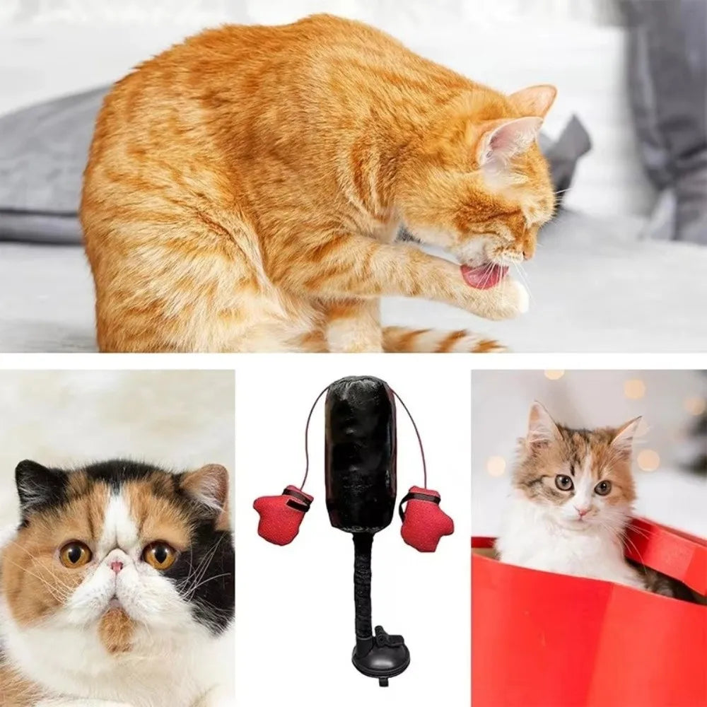 Suction Cup Base Cat Boxing Toy Self-Standing Spring Loaded Pet