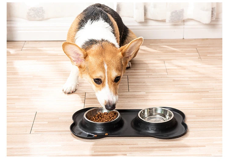 Stainless Steel Pet Dog Feeder Silicone Anti-Spill Cats Dog Double