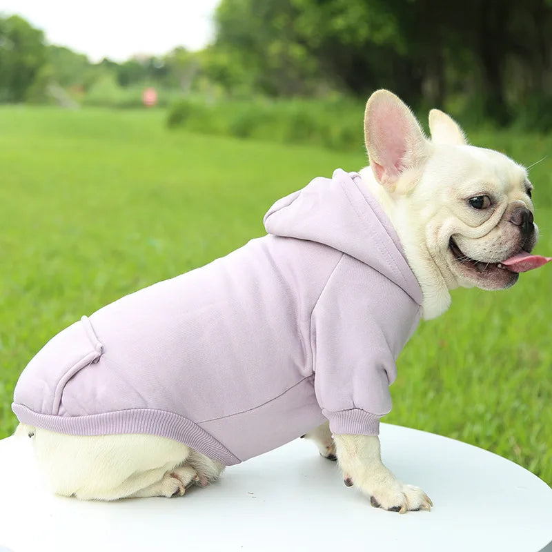 Autumn Winter Pet Dog Hoodies Warm Coat Sweater Small Medium Dog