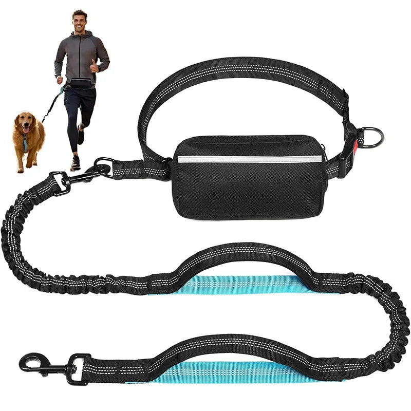 Adjustable Hands-Free Bungee Dog Leash