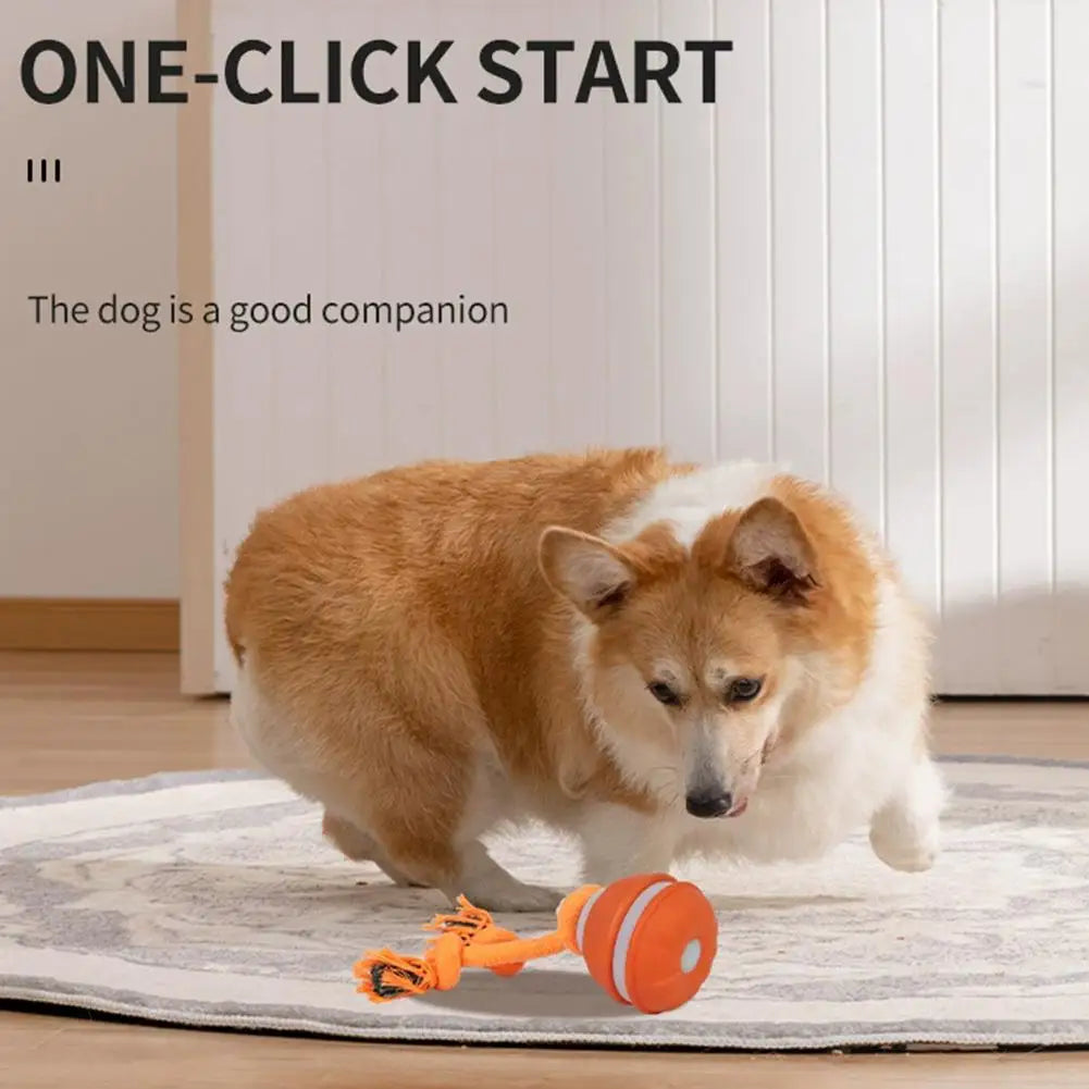 Pet Ball Interactive Toys for Dogs Motion Activate Rolling Ball