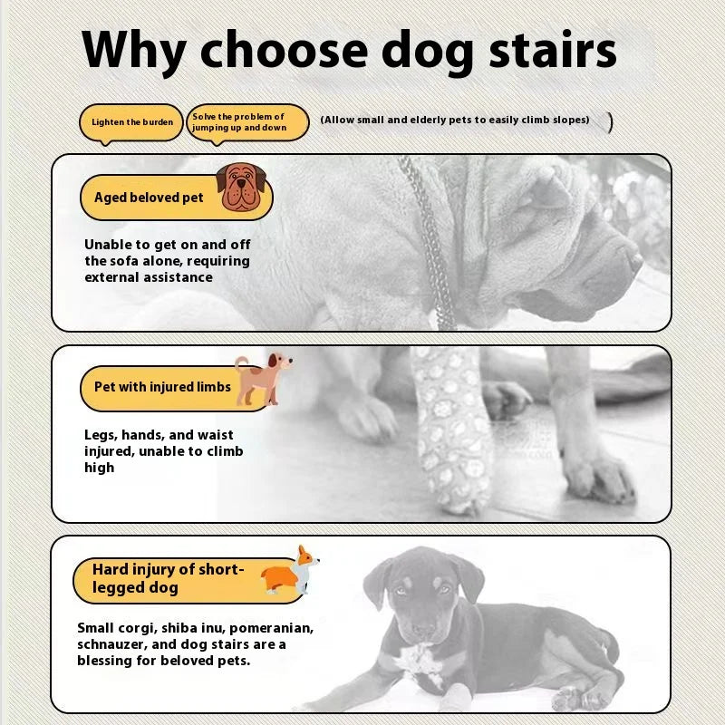 Ladder Dogs Pets Bone Handle Puppys Stairs Beside Sofa Bed Ramp
