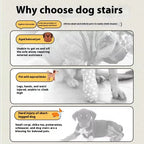 Ladder Dogs Pets Bone Handle Puppys Stairs Beside Sofa Bed Ramp