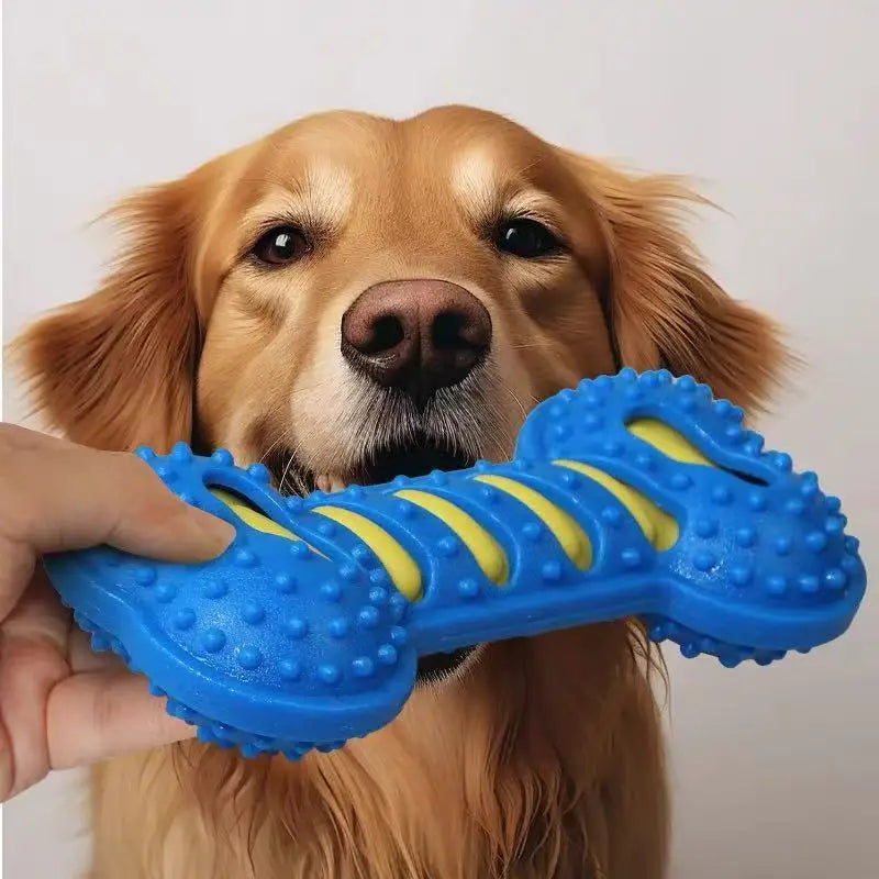 Rubber Dog Chew Toy with Squeaker