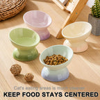 Ceramic Elevated Cat Bowls Tilted Cat Food Bowl Dish Pet Feeder