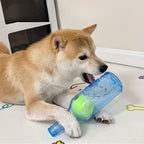 Dog Chew Toy Squeaky Silicone Beer Bottle with Tennis Ball