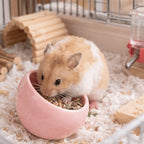 Ceramic Hamster Food Bowl Non-Slip Slanted-Edged Pet Feeding Bowl