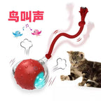 Smart Rolling Ball Cat Toy Interactive Self Play Bite Resistant