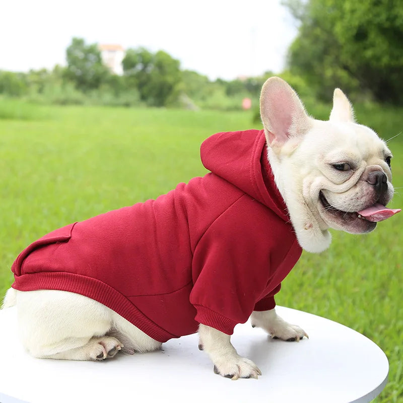 Autumn Winter Pet Dog Hoodies Warm Coat Sweater Small Medium Dog