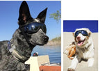 Transparent Color Pet Dog Goggles Waterproof Windproof Sunscreen