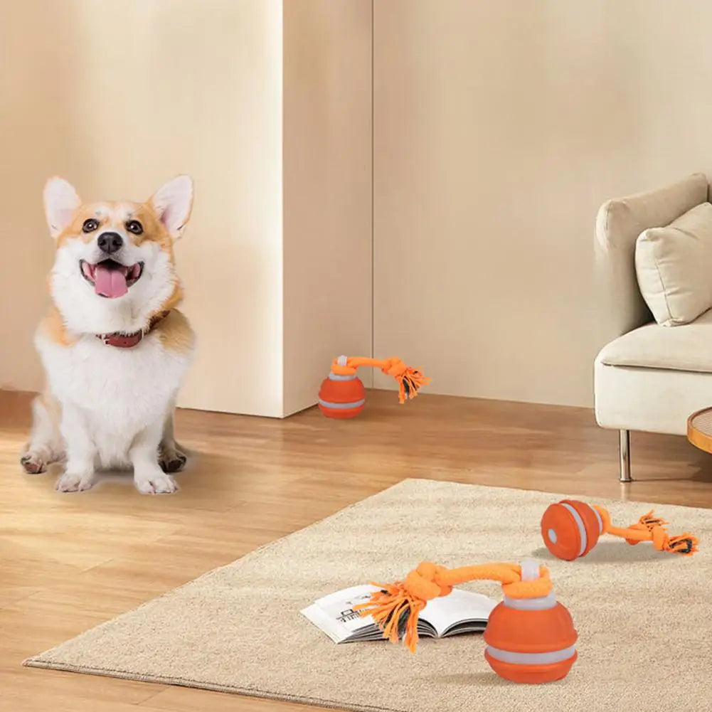 Pet Ball Interactive Toys for Dogs Motion Activate Rolling Ball