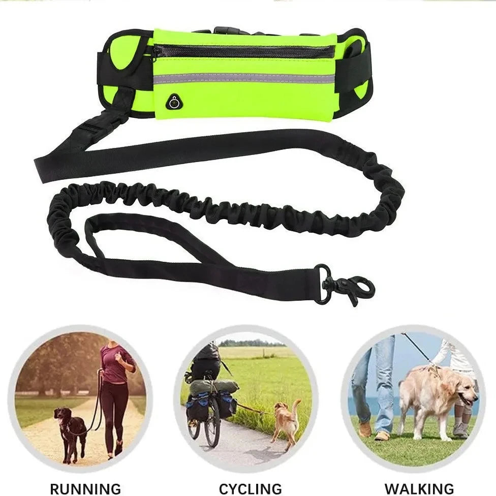 Adjustable Hands-Free Bungee Dog Leash