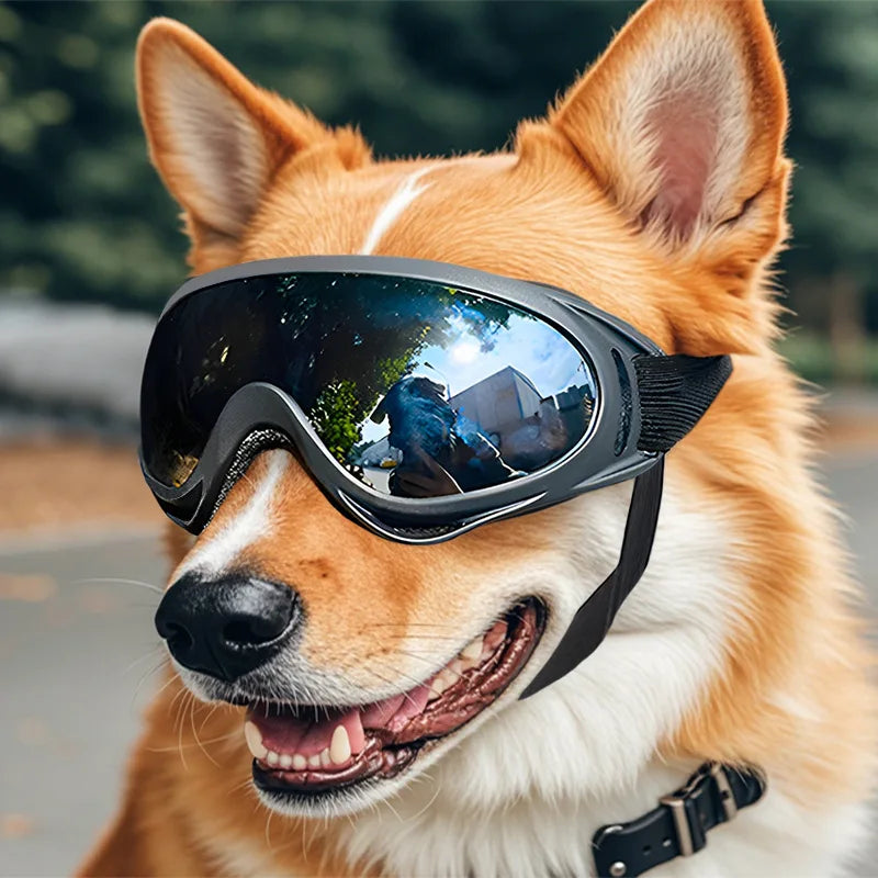 Aviator Dog Sunglasses