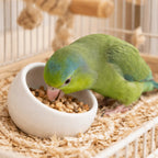 Ceramic Hamster Food Bowl Non-Slip Slanted-Edged Pet Feeding Bowl