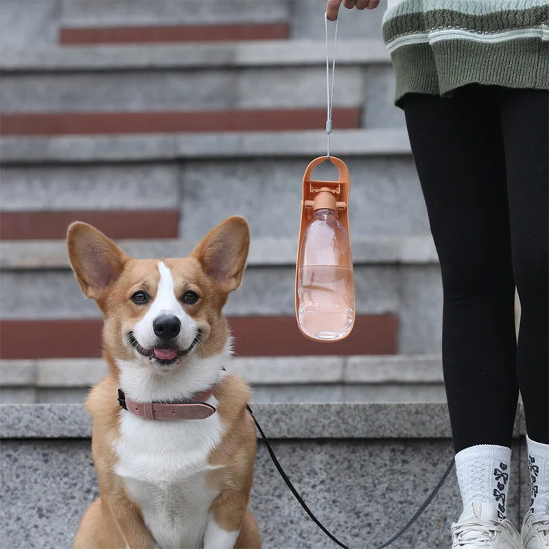 Portable Dog Water Bottle For Small Large Dogs Foldable