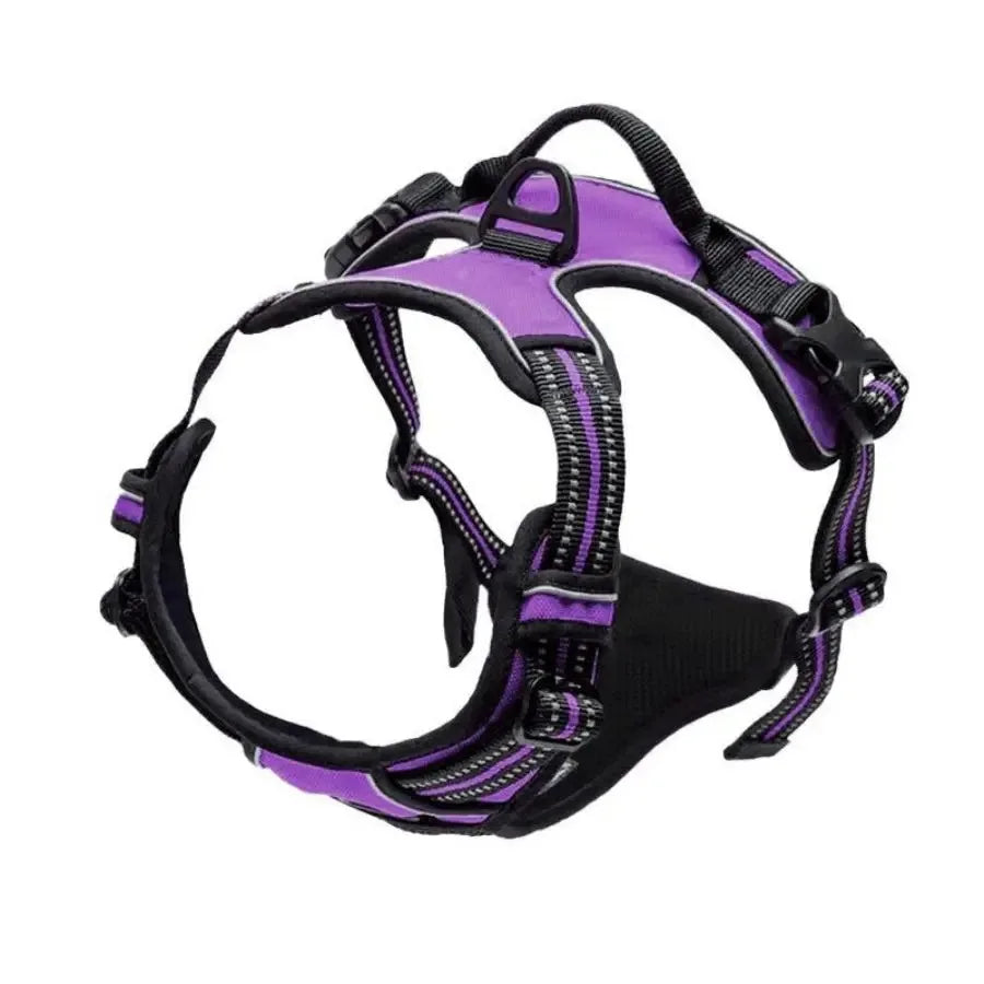 Dog Collars Harness Big Vests Leash Pet Shop Everything For Dogs