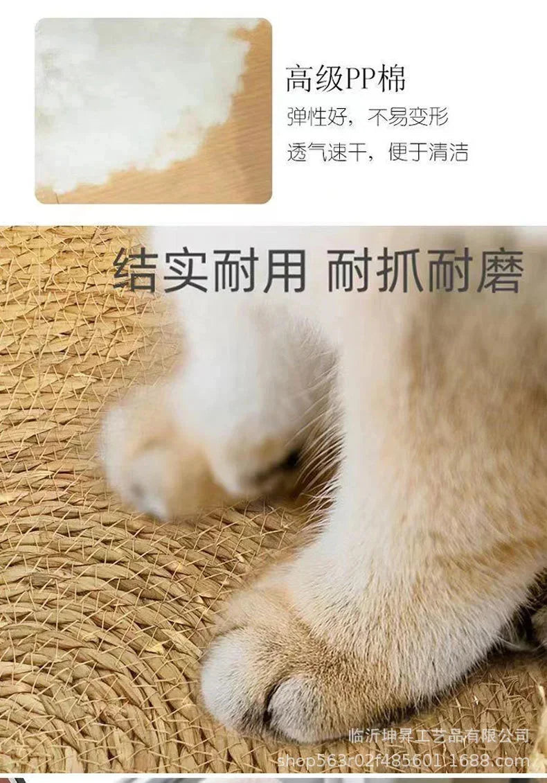 Rattan Weaving Cat Basket Bed With Soft Cushion Round Donut Design