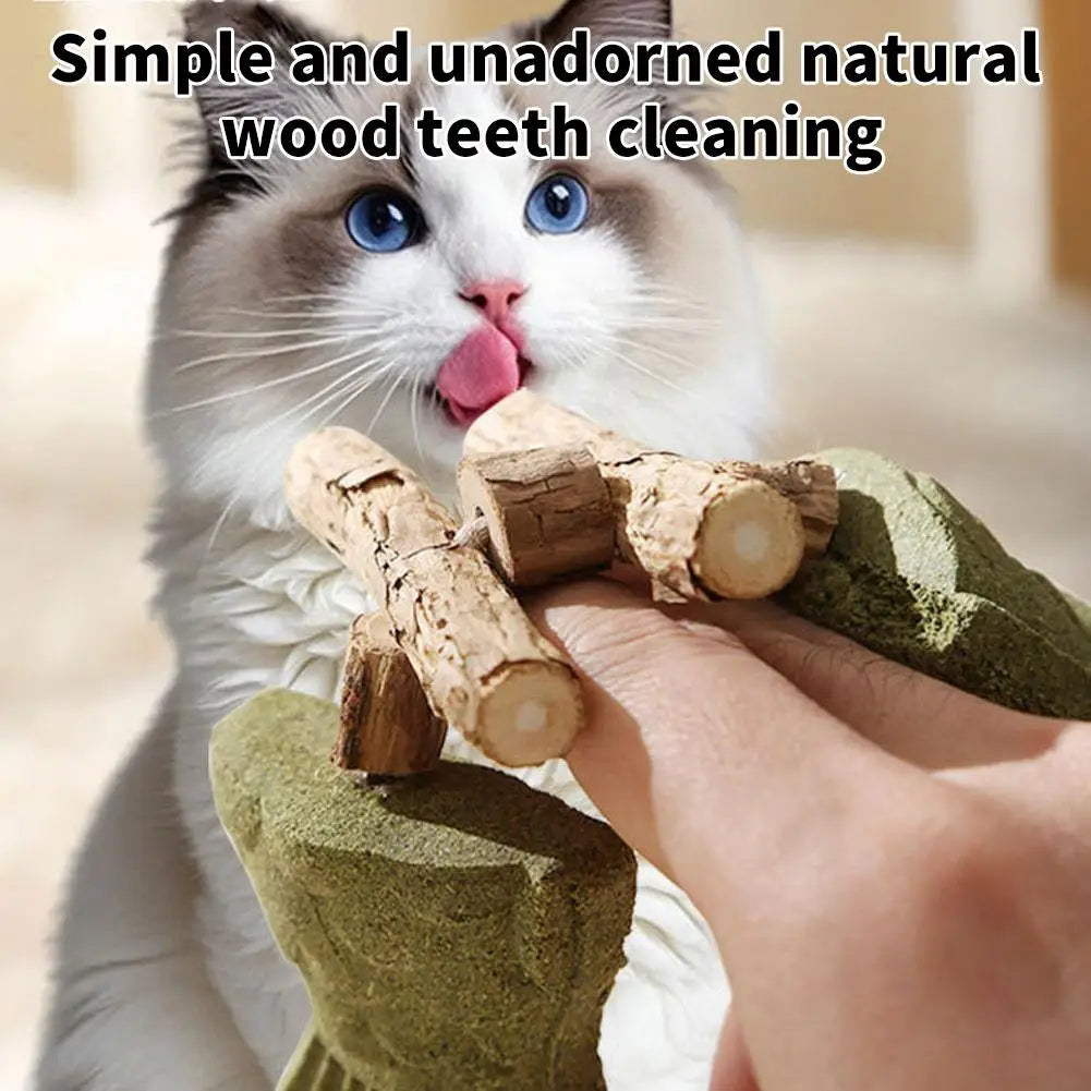 Funny Fish Bone Cat Toys Cat Teeth Cleaning Toy with Catnip &