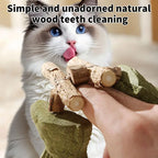Funny Fish Bone Cat Toys Cat Teeth Cleaning Toy with Catnip &