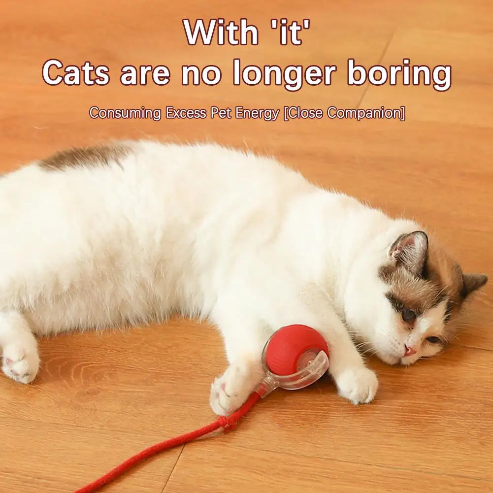Cat Interactive Ball Toys Automatic Rolling Ball Faux Tail