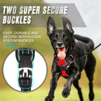 Dog Collars Harness Big Vests Leash Pet Shop Everything For Dogs