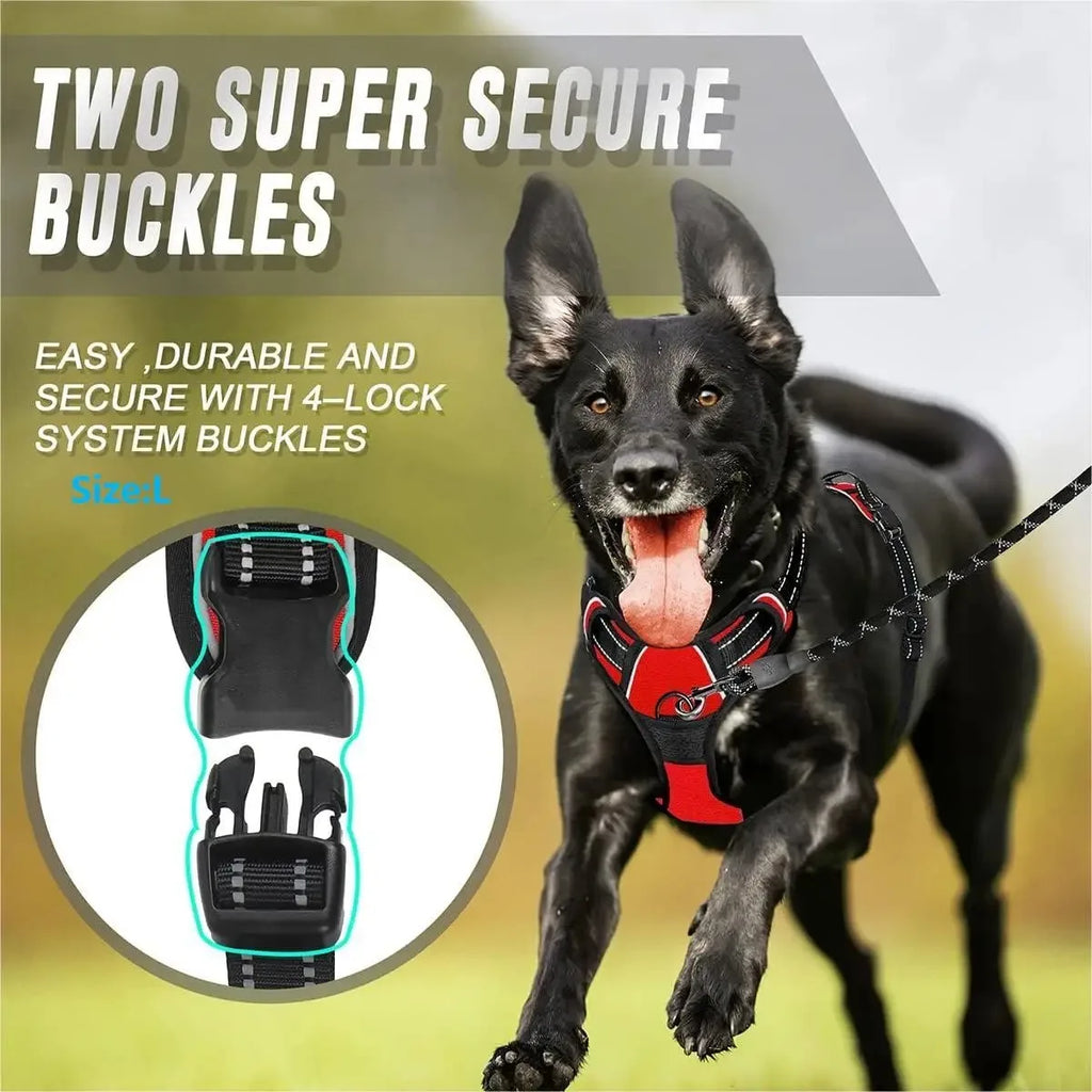 Dog Collars Harness Big Vests Leash Pet Shop Everything For Dogs