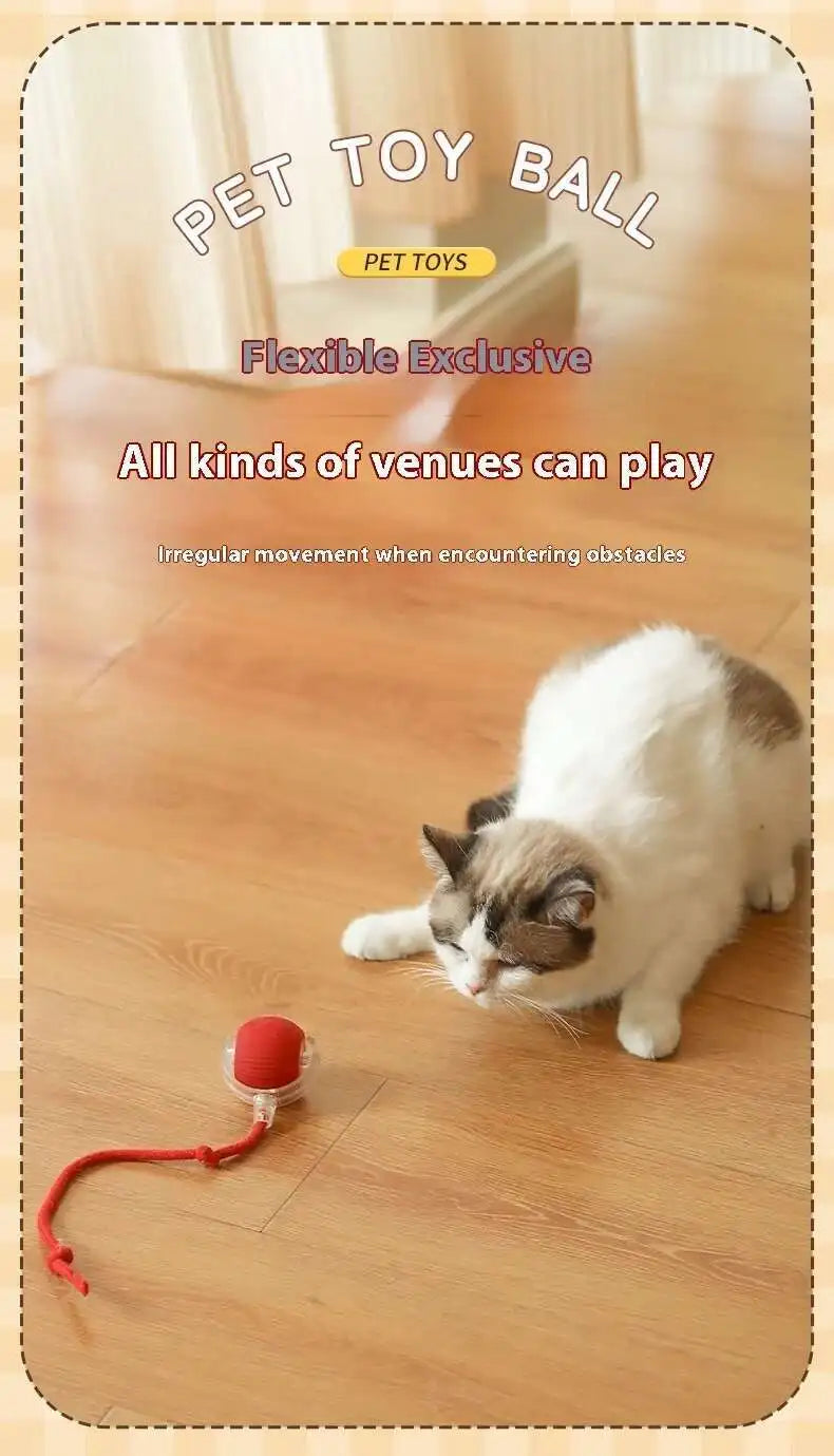 Smart Dog Toy Ball Electronic Interactive Pet Toy Moving Ball USB