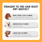 Pet Hair Dryer 2-in-1Cat Dog PUppy Dryer Grooming and Care Low