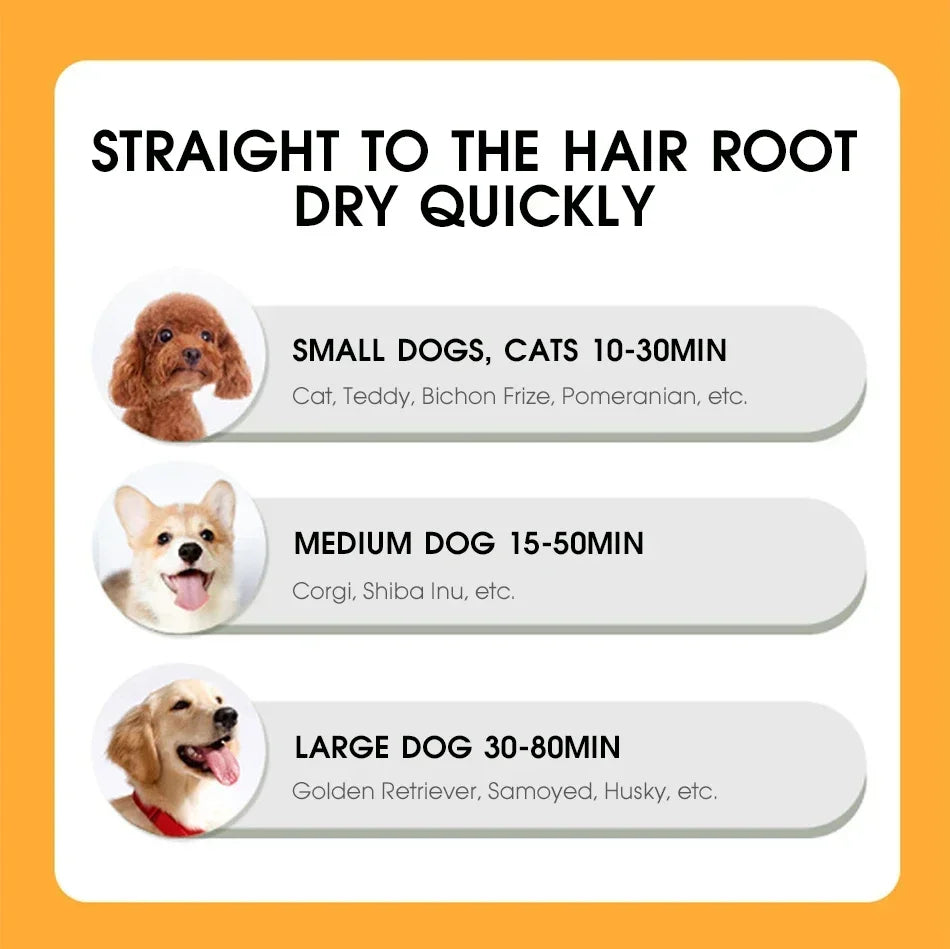 Pet Hair Dryer 2-in-1Cat Dog PUppy Dryer Grooming and Care Low