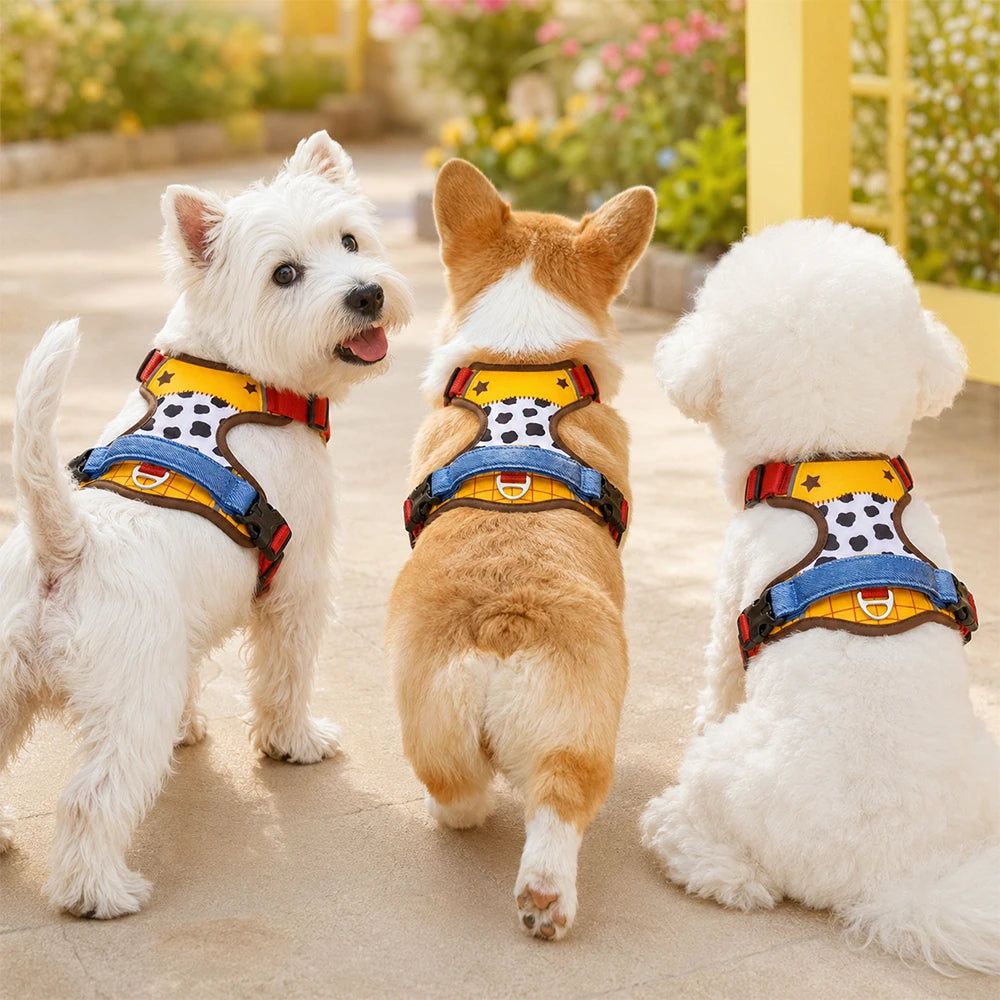 Comfortable Breathable Mesh-Lined Printed Pet Harness with