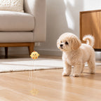 Pet Interactive Bouncing Sound Toy Ball Teething Interactive Toy