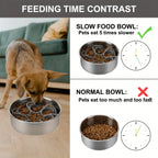 Pet Feeder Plugin Powerful Suction Cup Slow Food Anti Choking Bowl