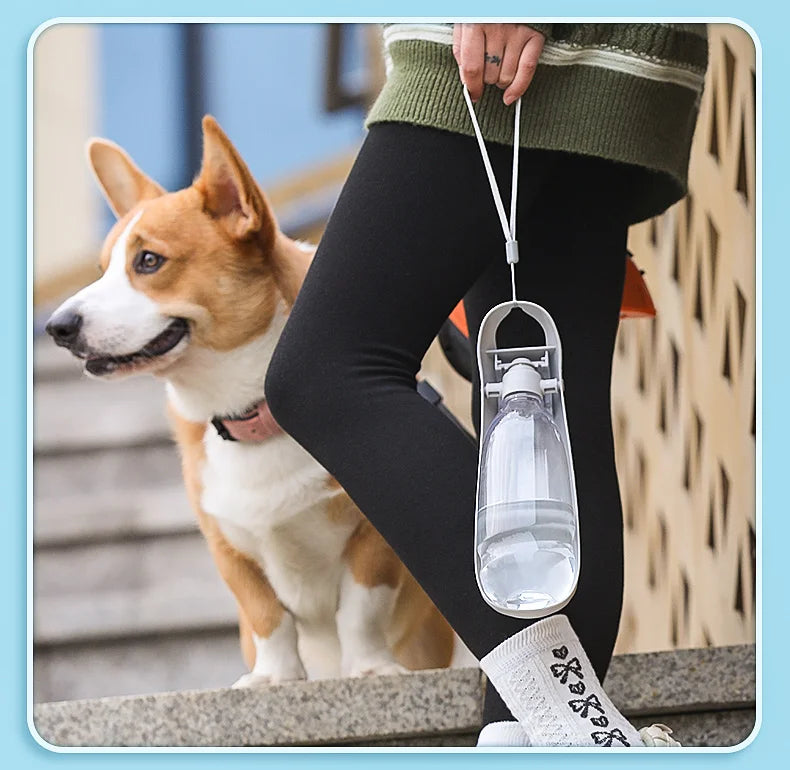 Portable Dog Water Bottle For Small Large Dogs Foldable