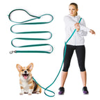Reflective Hands-Free Running Dog Leash